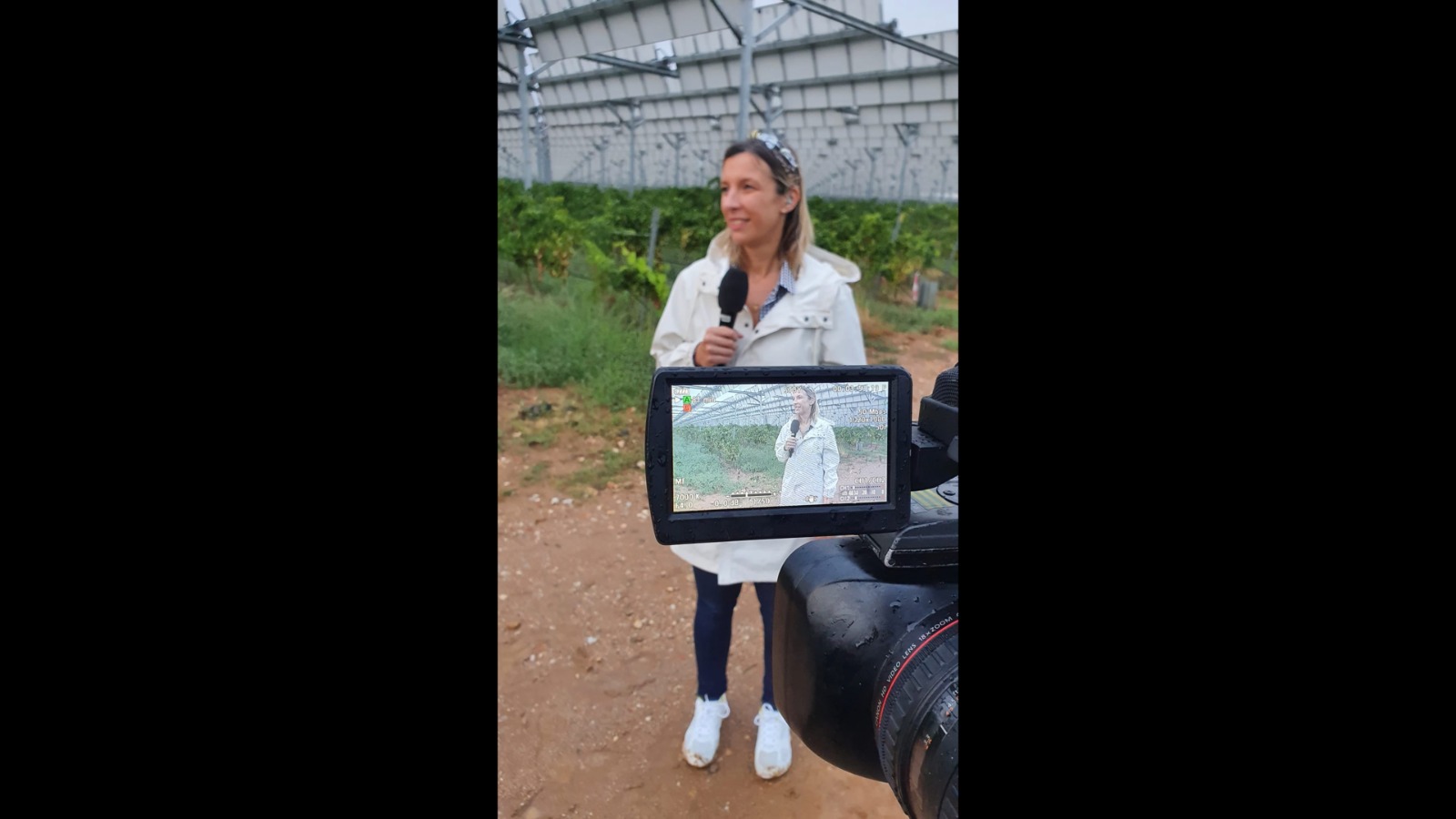 YouBLive - L’agence YouBLive élabore des stratégies numériques